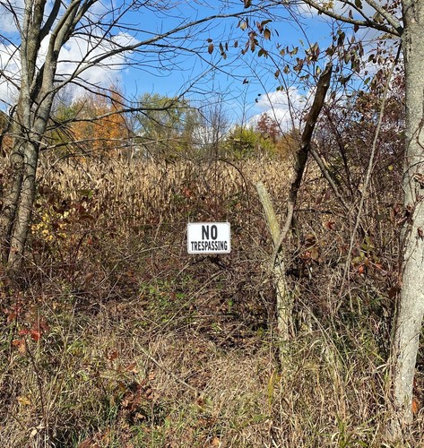 "NO TRESPASSING" 10" x 7" Warning Signs, 2 Sign Set, Heavyweight Aluminum - Picture 8 of 12