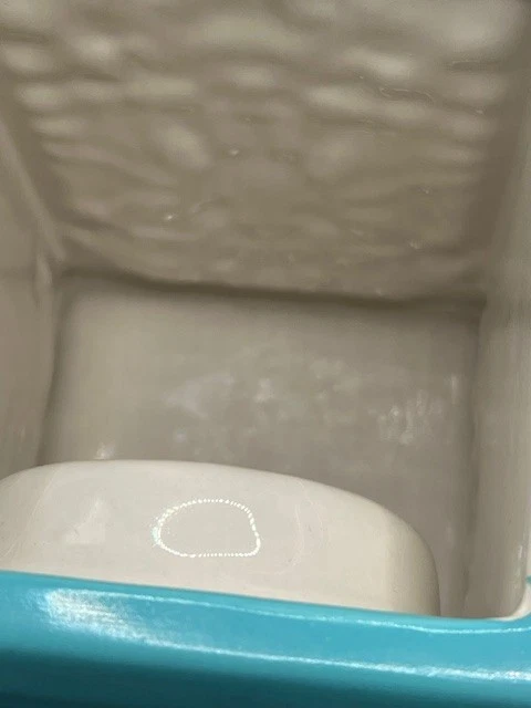 Disney Alicia a través del espejo galletas de David verde azulado reloj tarro de galletas en muy buena condición Foto 3 de 4