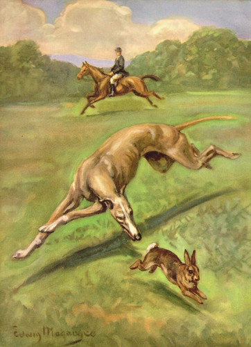 Vintage GREYHOUND Dog Print 1950s Edwin Megargee Greyhound Illustration 6991d