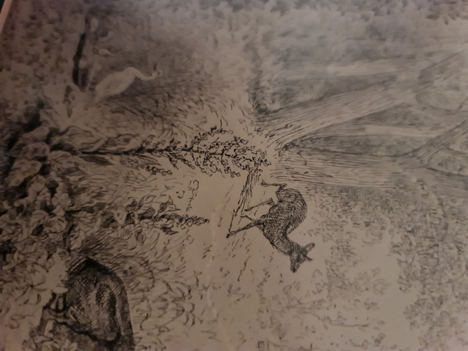 Picture 5 of 8