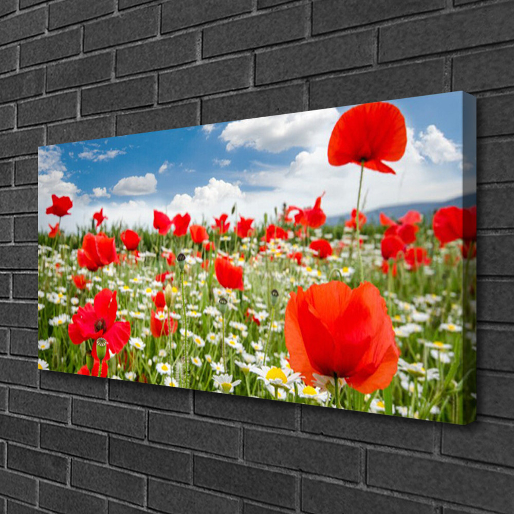 Impression sur toile haut de gamme motif prairie de fleurs, grand tableau déco murale 100x50cm