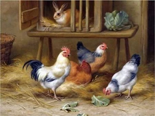 Farmyard Rabbit Rooster Hens Accent Tile Mural Kitchen Backsplash Marble Ceramic