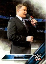Greg Hamilton WWE Wrestling Trading Card Raw Smackdown 2016 #122