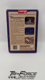 Disney Adventures in the Magic Kingdom Nintendo Nes W/ Box No Manual, Tested !