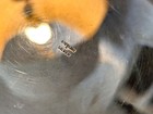 Bild 16 von 22