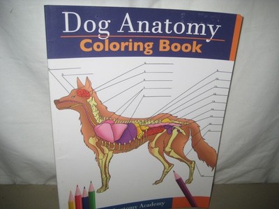 NEW Dog Anatomy Coloring Book:  Detailed Dog Canine Anatomy Academy