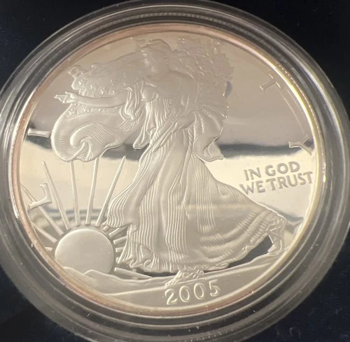 2005 W SILVER AMERICAN EAGLE PROOF US Mint Box One Ounce .999 FINE IN Box NO COA