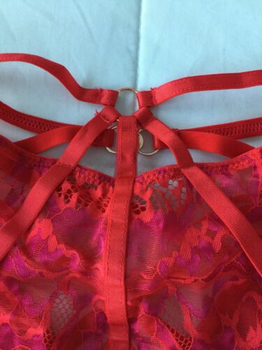 Fig Leaves Curves Lace Mesh Strappy Red Hipster Panty Size 14 NWT - Picture 3 of 5