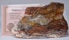 Foto 2 di 5