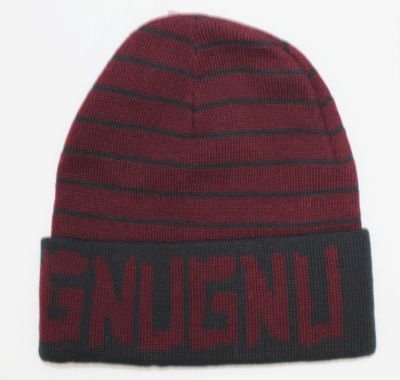 GNU snowboard ski surf skateboard GNUG BEANIE red NEW never worn