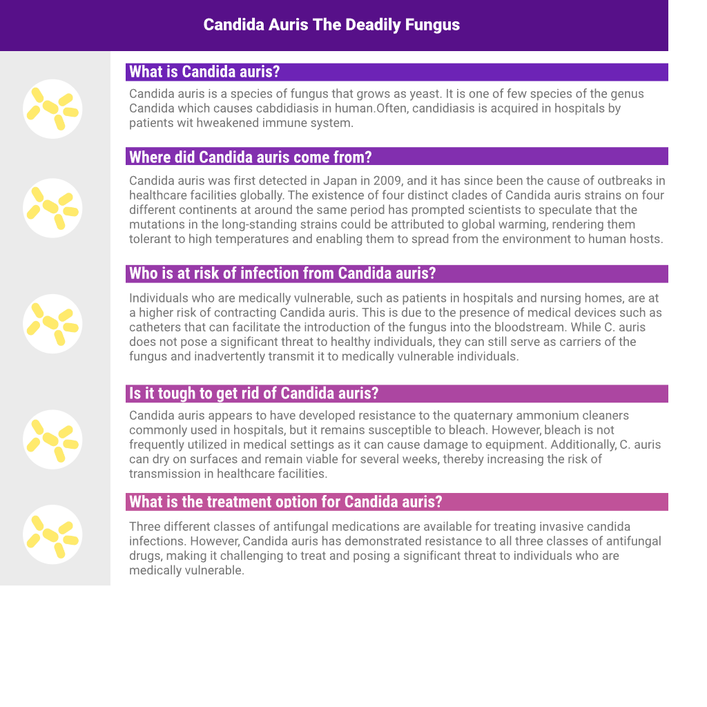 Candidan® Erase Kills Candida auris Natural Antifungal 16 OZ Spray Topical eBay