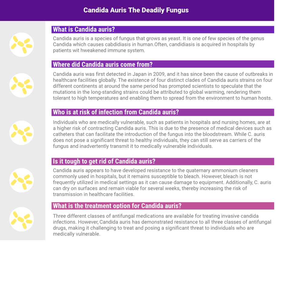 Candidan® Erase Kills Candida auris Natural Antifungal 16 OZ Spray