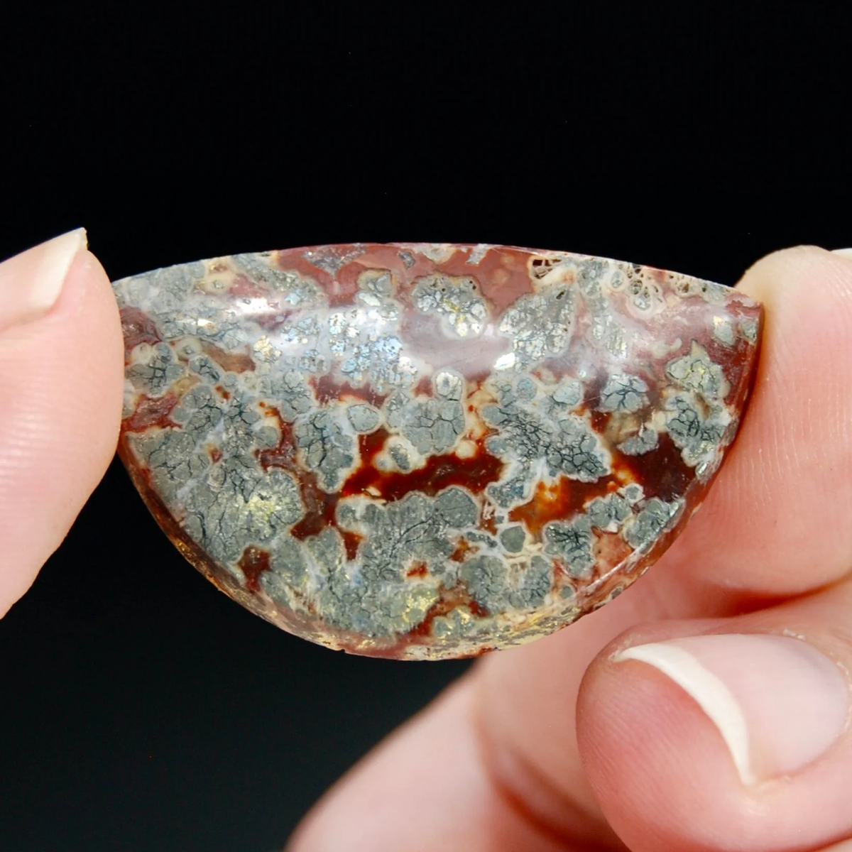 36mm AAA Marcasite Red Agate Matrix Freeform Half Circle Cabochon