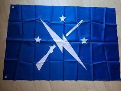 Fallout ''Commonwealth'' Flagge 60x90cm