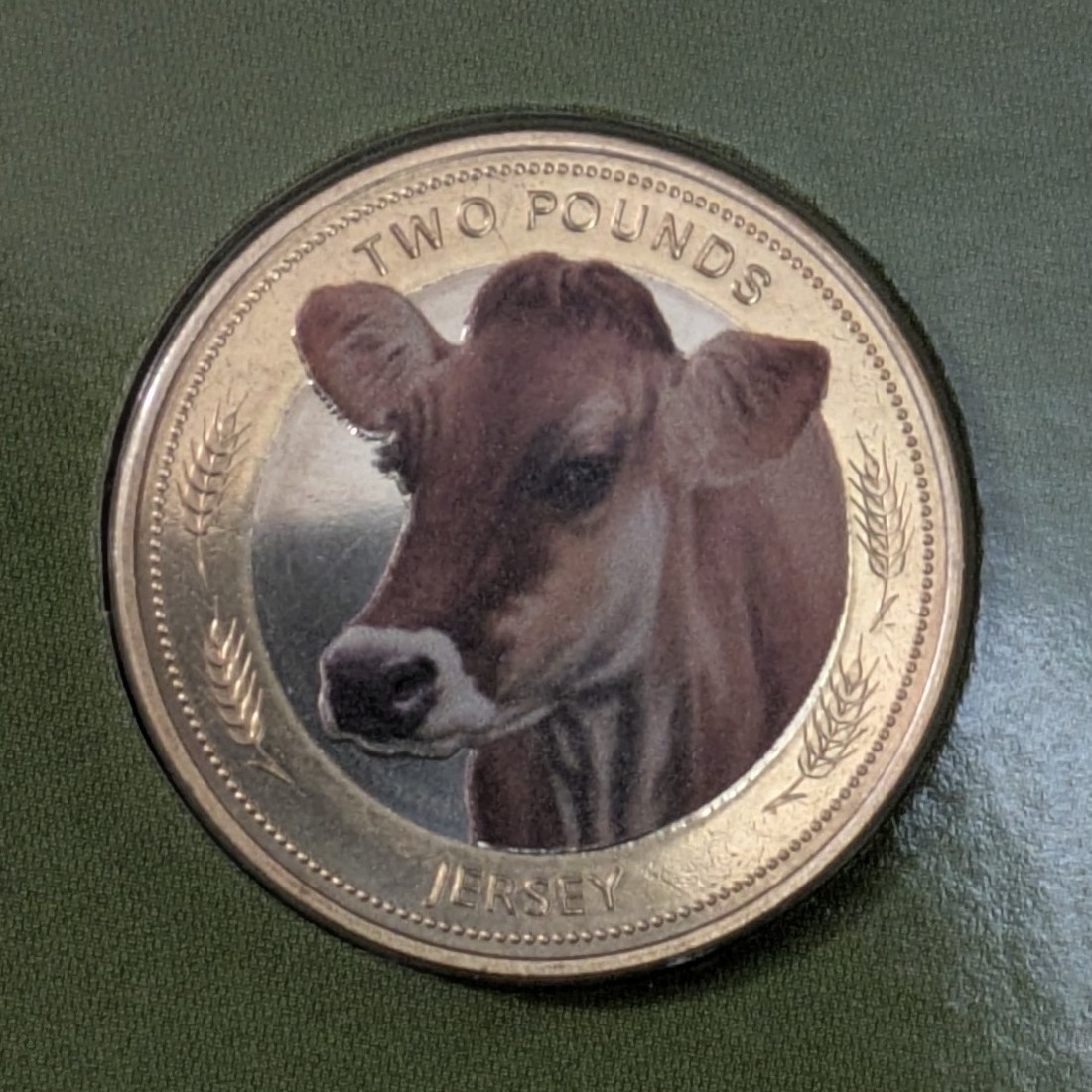 £2 Jersey 2024 5x Coins Set - Heritage Cattle Breeds Colour BUNC sealed pack image 7