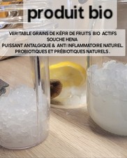  GRAINS DE KÉFIR DE FRUITS SOUCHE HENA Bio 50g Antalgique NATUREL. HAUTEQUALITÉ 