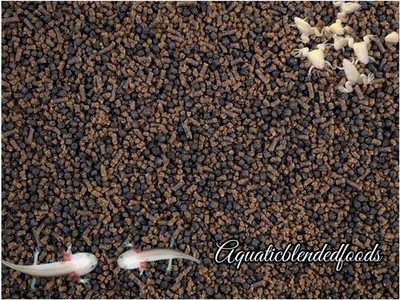 BABY AXOLOTL FOOD SOFT PELLETS 1.2 & BLACKWORM PELLETS 1.0 Aquatic Frogs, ABF452