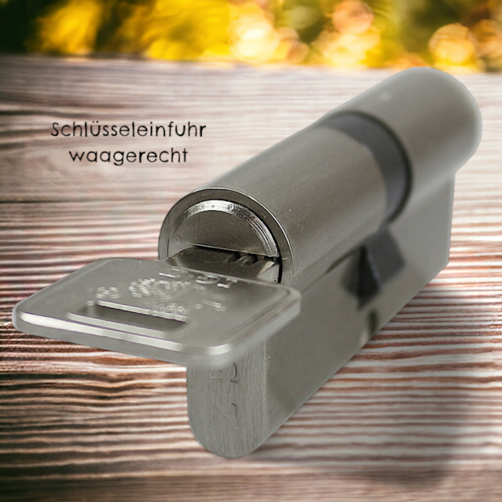 Bild 3 von 6