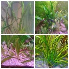Foto 8 di 8