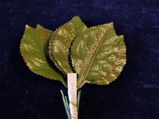Vintage Millinery Flower Leaf Green Shaded 2 1/2" Japan 12 stems in a Bunch Y277