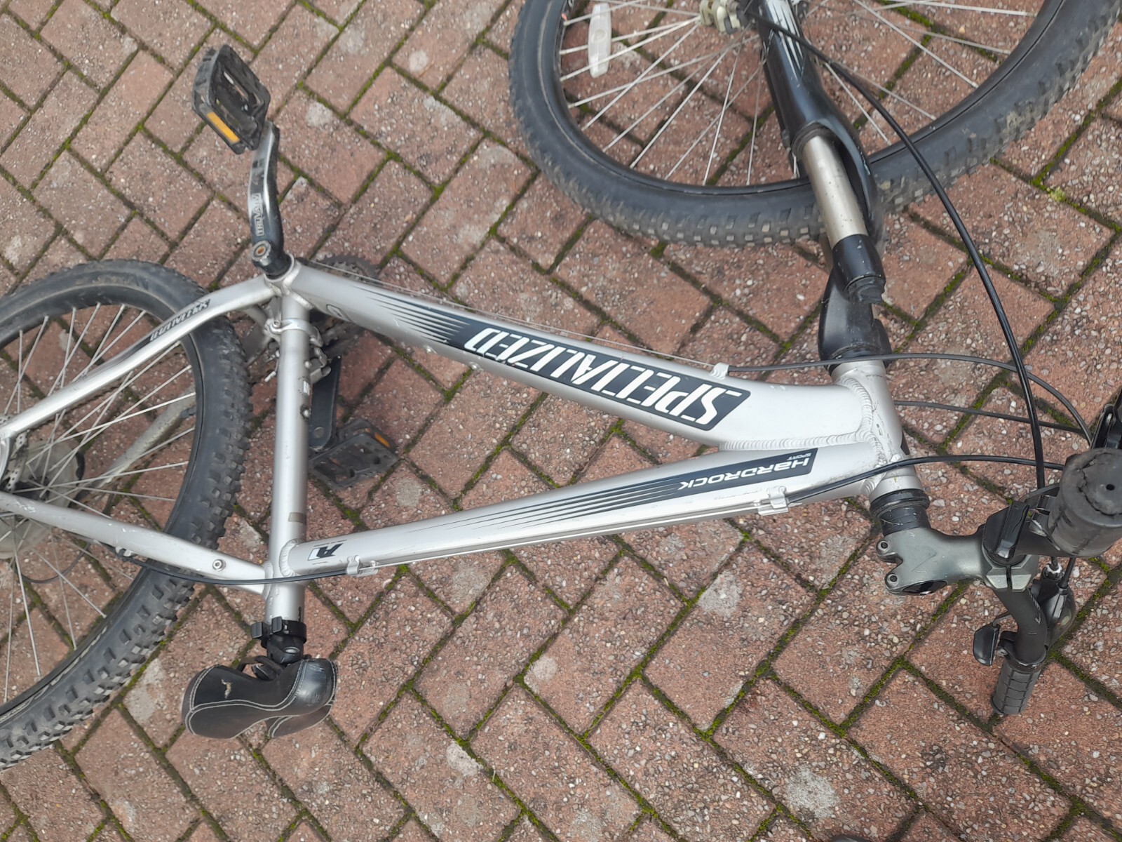 Specialized Mountain Bike eBay