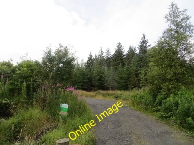 Foto 6x4 Ballypatrick Forest Torr Ausfahrt einer Holzfällerstraße aus dem Wald c2013