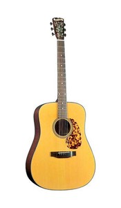 Blueridge Historic BR-140A Adirondack Acoustic Guitar
