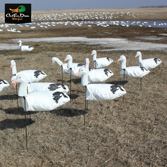 NEW WHITE ROCK DECOY COMPANY HEADED SNOW GOOSE WIND SOCK DECOYS 1 DOZEN