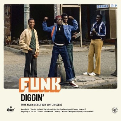 Various Artists Funk Diggin': Funk Music Gems from Vinyl Dig (Vinyl) (UK IMPORT)