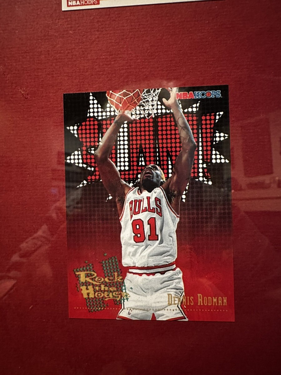1995-96 NBA Chicago Bulls Framed Photo and Player Cards! 72 1995-96 NBA Chicago Bulls Framed Photo and Player Cards! 72