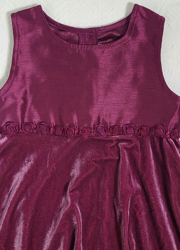 VESTIDO de fiesta bonito y suéter a juego para niñas talla 4T ~ rosetas en la cintura Foto 3 de 4