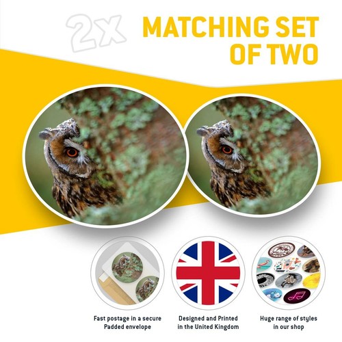 2 x Vinyl Stickers 20cm - Watching Owl Wildlife Tree Forest Bird #46409 - 第 2/8 張圖片