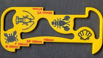 Nordirland Hummer Messgerät Krabbe Jakobsmuschel Werkzeug NI Folio Meeresangeln 3D