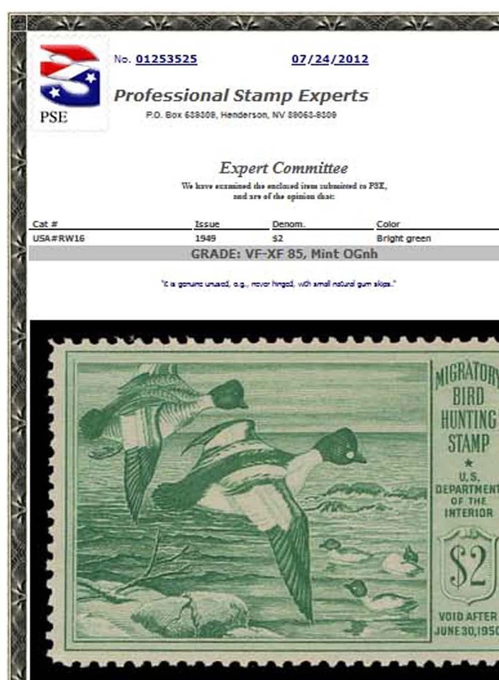 RW16 — 1949 American goldeneye, VF-XF 85 NH, PSE Certificate - Image 2 of 2