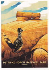 Petrified Forest National Park Arizona Art Poster Postcard