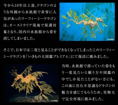 Bandai Ikimono Encyclope the diversity of life on earth Leafy sea