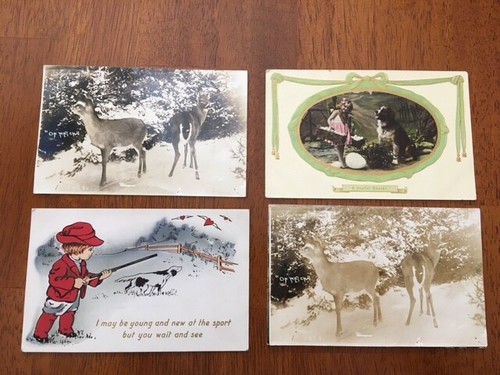 Antique Postcards Early 1900's Lot of 14 Animal Themes Stamps on 3 of Them - Picture 3 of 5
