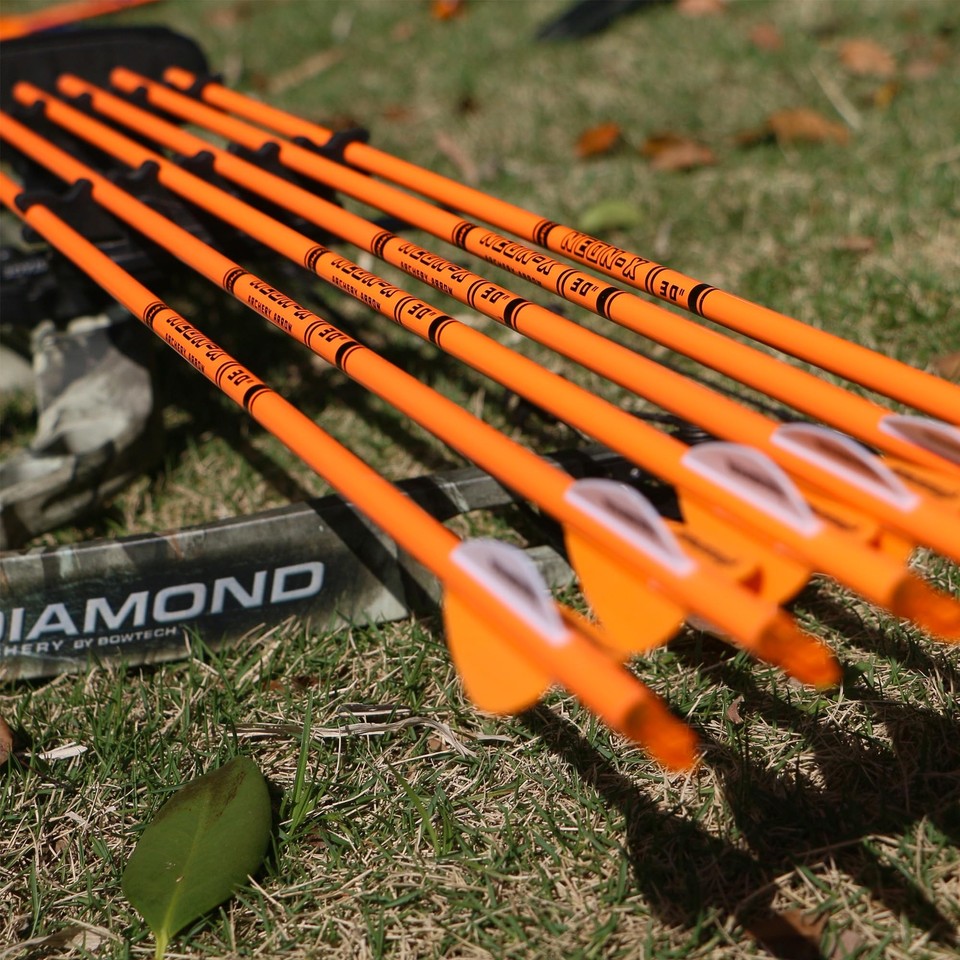 Carbon Arrow Archery 30inch Bright Colors Hunting Target Practice