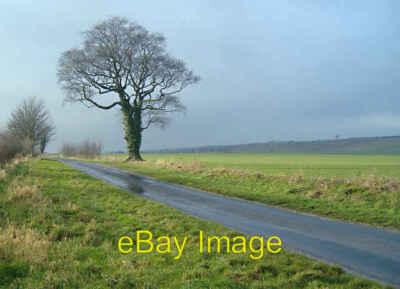 Photo 6x4 Dunflat Lane Risby/TA0034 Halfway between Risby and Little Wei c2008