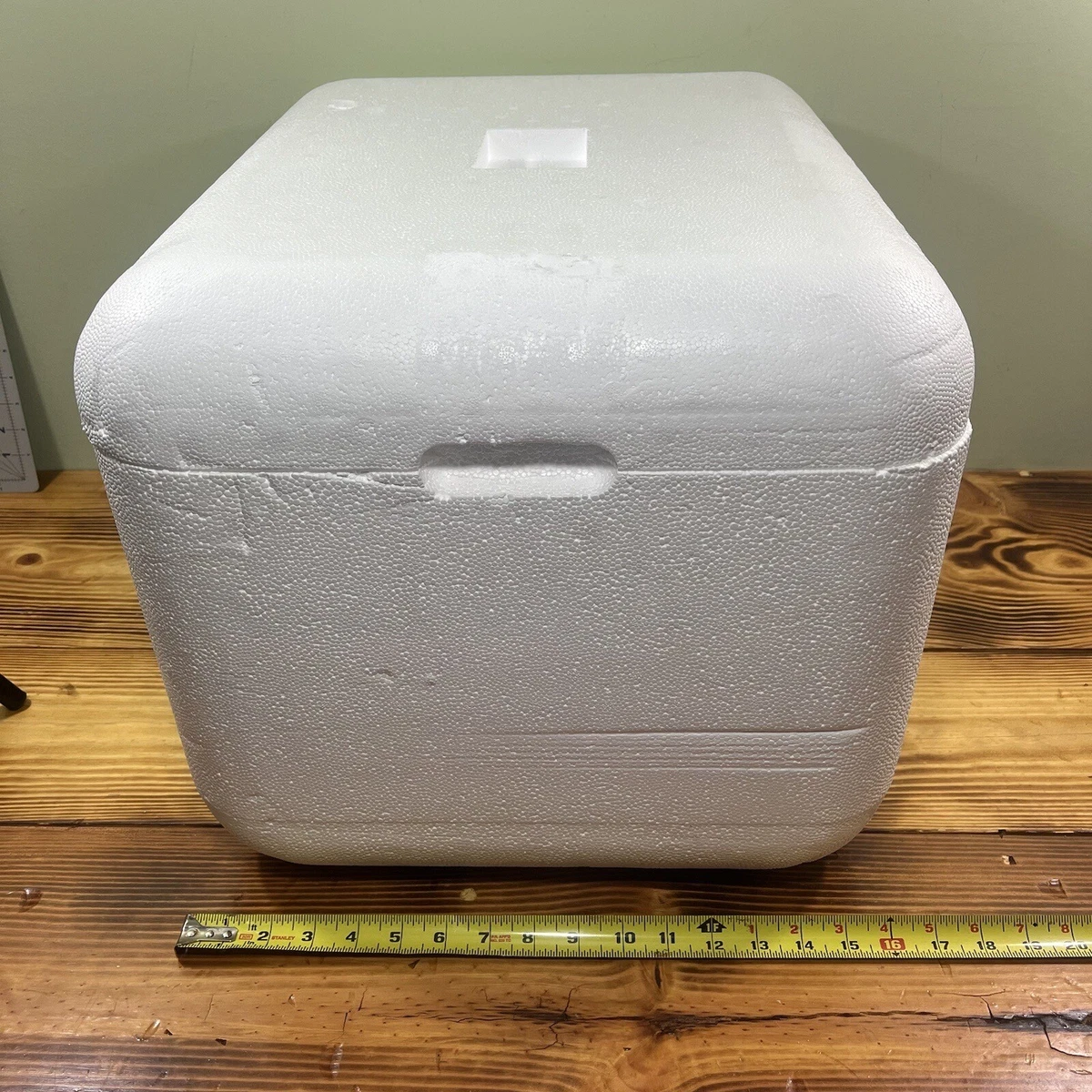 Large Styrofoam Shipping Box Insulated Cooler Package 16-1/4” x 11-7/8” x  8-7/8”