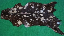 Luxury Goat hide Rug Hair on Area Rug Size 40"x24" Animal Leather Goat Skin G263