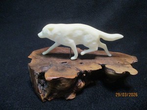 ARTIC FOX ON DRIFTWOOD       BEAUTIFUL AND UNIQUE
