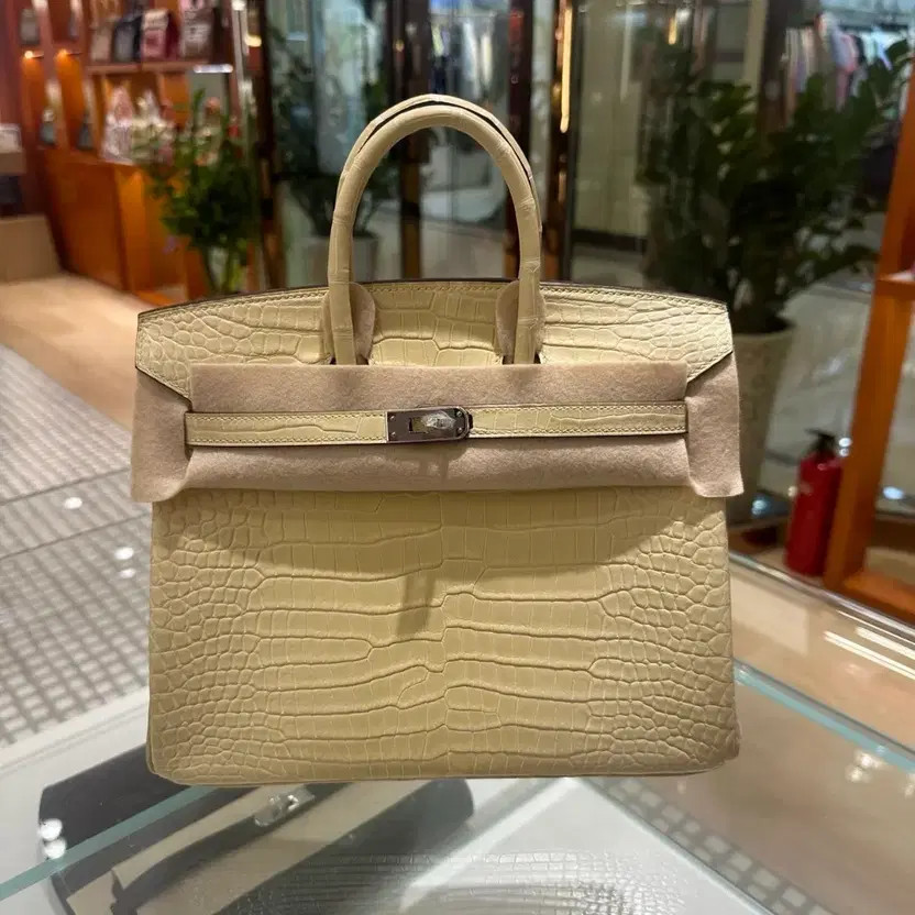Hermes Birkin 25 Ivory Crocodile Leather Bag thumbnail 3