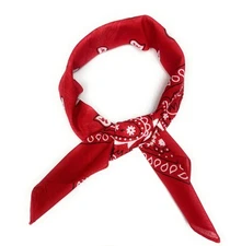 Womens Ribbon Scarf Set of 7 Paisley Pure Cotton Neck Kerchief