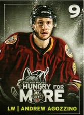 Andrew Agozzino 2016-17 Chicago Wolves