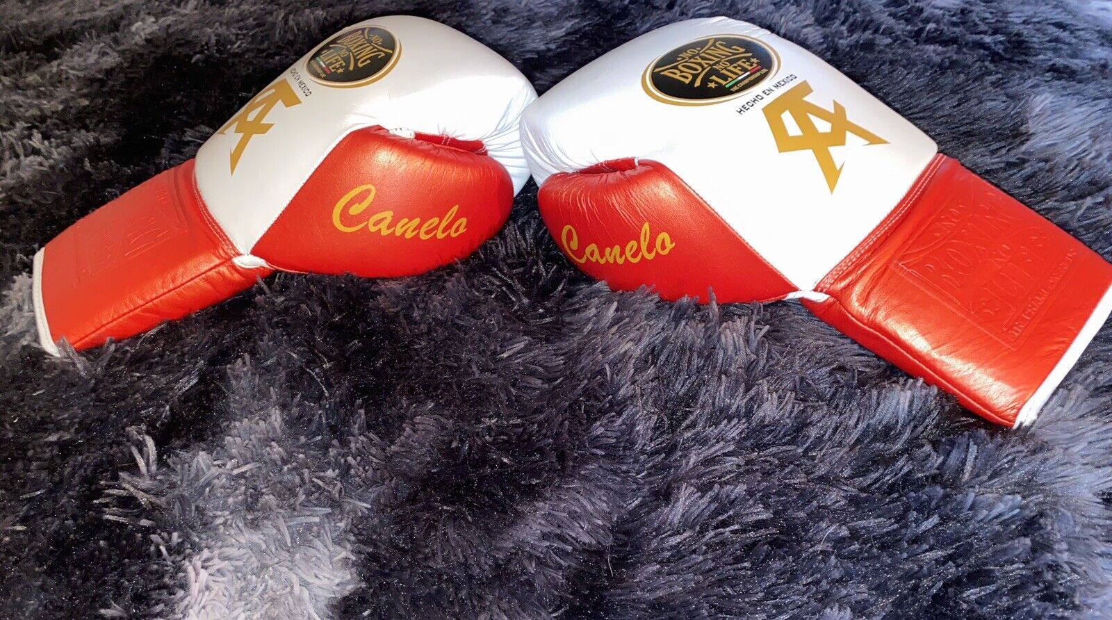 Canelo Boxing Gloves 16 oz (No Boxing No Life)