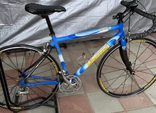 Litespeed Sirius Road Bike