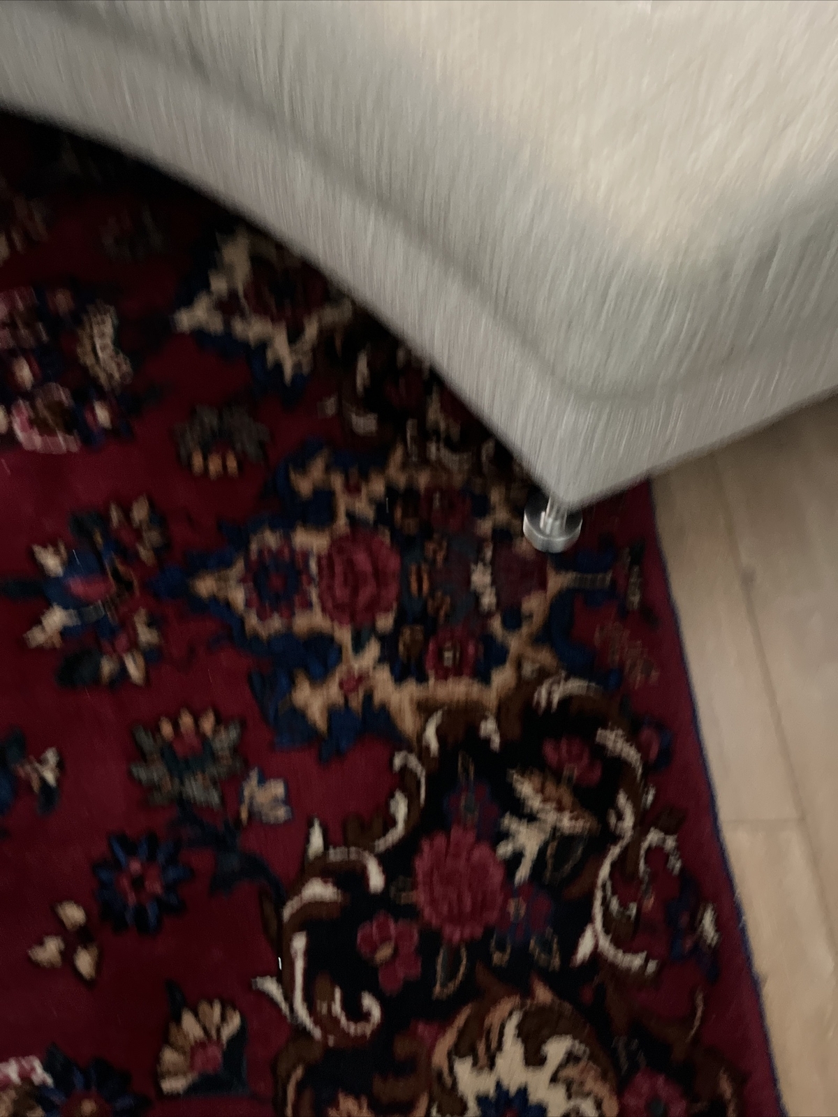 Picture 6 of 19