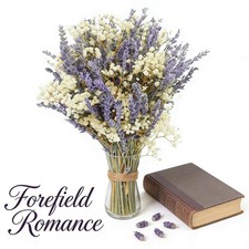 Dried Lavender Bouquet with Baby's Breath - Set of 2, 60 Stems Each, Natural ...