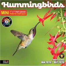 Hummingbirds 2026 Mini Wall Calendar 12 Month | 7" x 14" Open | Thick & Sturd...